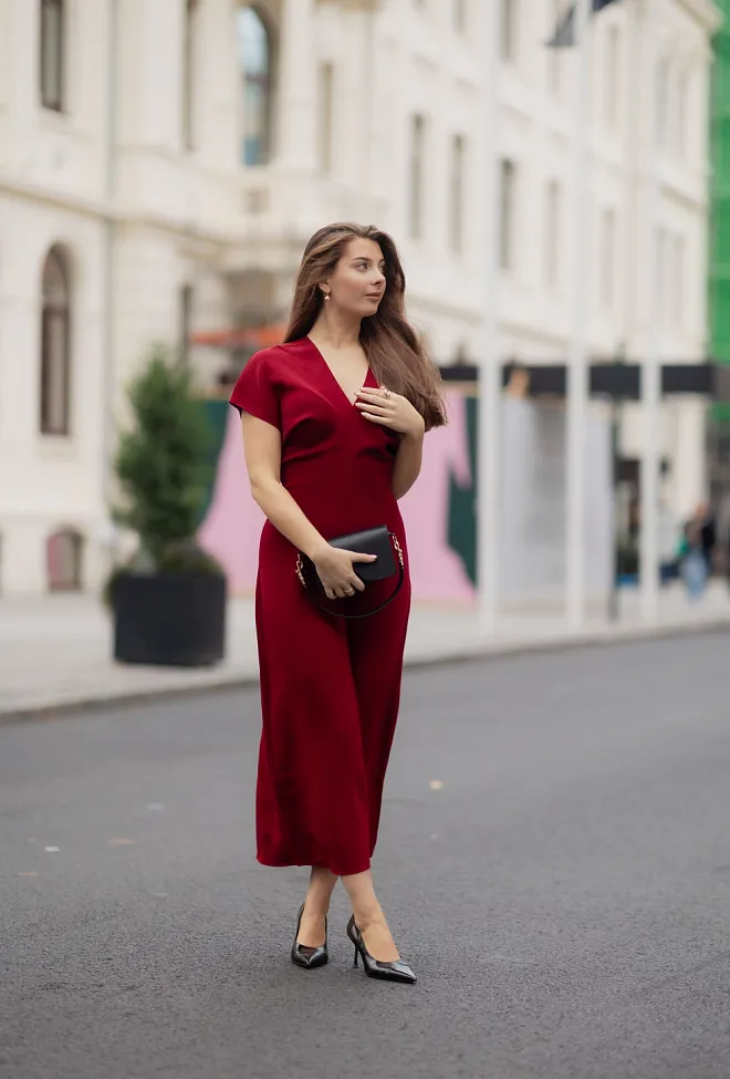 Anine bing Zadig Dress Cabernet maxikjole 2