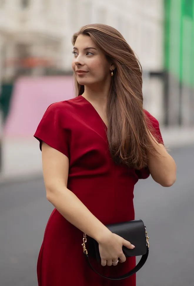 Anine bing Zadig Dress Cabernet maxikjole 3