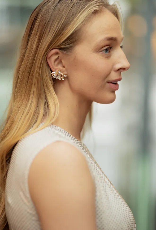 Caroline svedbom Havanna Earrings Gold Silvershade Combo øredobber