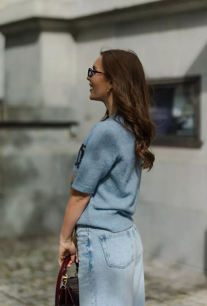 GANNI Fine Brushed Alpaca Puppies T-Shirt Soft Chambray genser 4