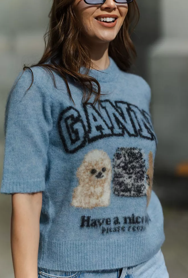 GANNI Fine Brushed Alpaca Puppies T-Shirt Soft Chambray genser 6